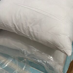 Two White Pillow for decorative use 17” square